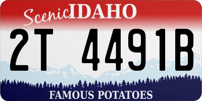 ID license plate 2T4491B