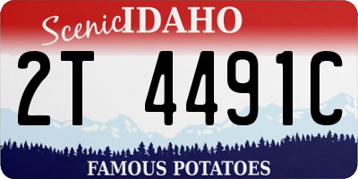 ID license plate 2T4491C