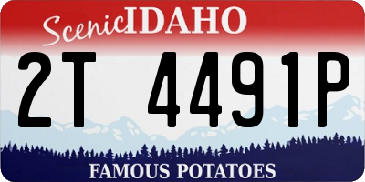 ID license plate 2T4491P