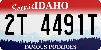 ID license plate 2T4491T