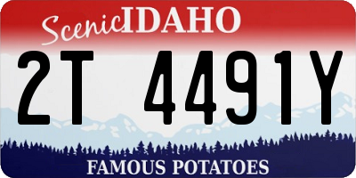 ID license plate 2T4491Y