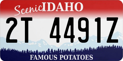 ID license plate 2T4491Z