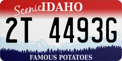 ID license plate 2T4493G