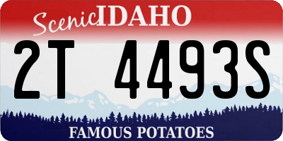 ID license plate 2T4493S