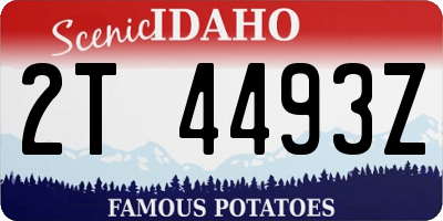 ID license plate 2T4493Z