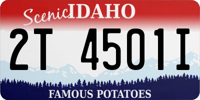 ID license plate 2T4501I