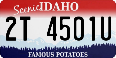 ID license plate 2T4501U