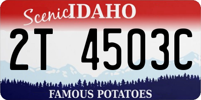ID license plate 2T4503C