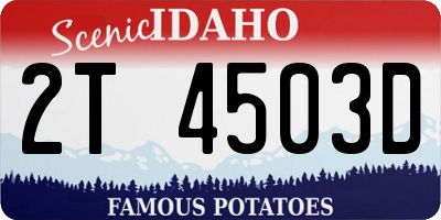 ID license plate 2T4503D
