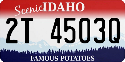 ID license plate 2T4503Q