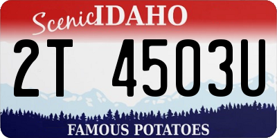 ID license plate 2T4503U