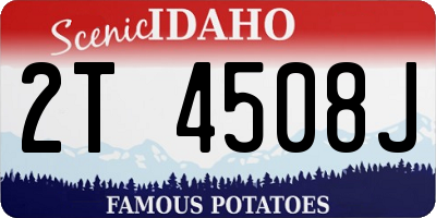 ID license plate 2T4508J