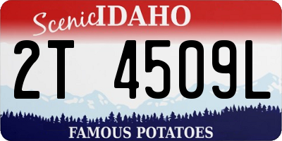 ID license plate 2T4509L