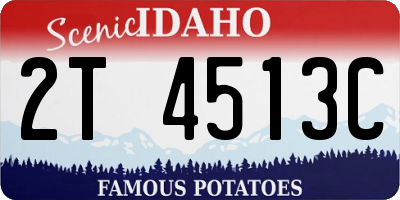 ID license plate 2T4513C