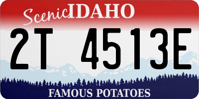 ID license plate 2T4513E