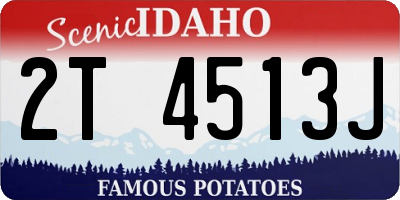 ID license plate 2T4513J