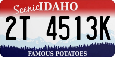 ID license plate 2T4513K