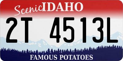 ID license plate 2T4513L
