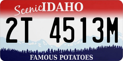 ID license plate 2T4513M
