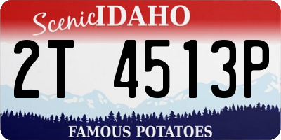ID license plate 2T4513P