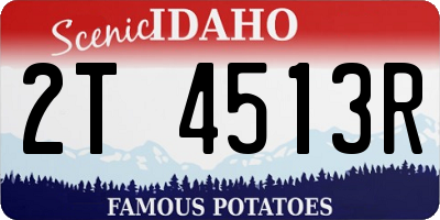 ID license plate 2T4513R