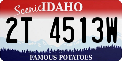 ID license plate 2T4513W