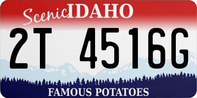 ID license plate 2T4516G