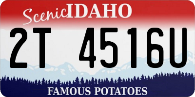 ID license plate 2T4516U