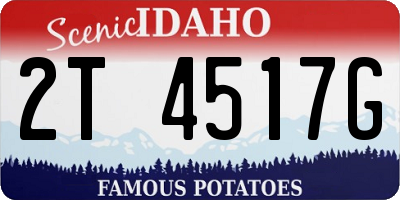 ID license plate 2T4517G