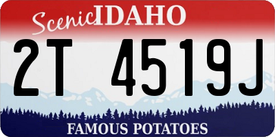 ID license plate 2T4519J