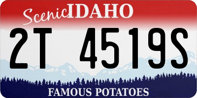 ID license plate 2T4519S