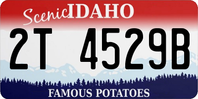 ID license plate 2T4529B