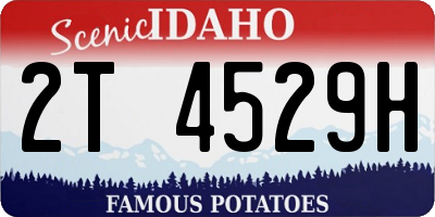 ID license plate 2T4529H