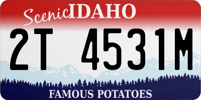 ID license plate 2T4531M