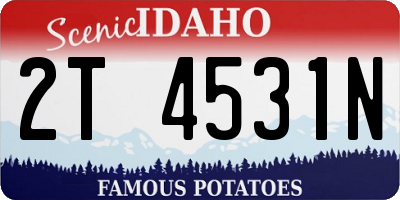 ID license plate 2T4531N