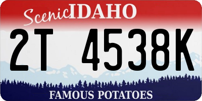 ID license plate 2T4538K