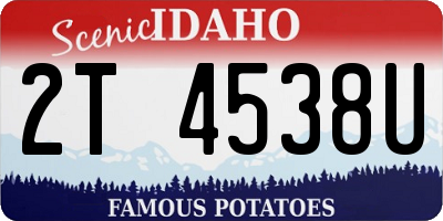 ID license plate 2T4538U
