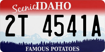 ID license plate 2T4541A