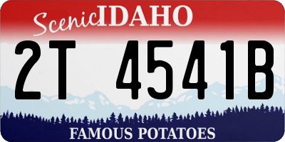 ID license plate 2T4541B