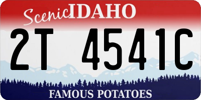 ID license plate 2T4541C