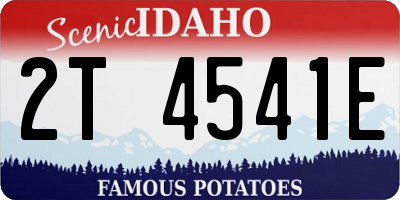 ID license plate 2T4541E