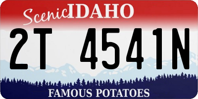 ID license plate 2T4541N