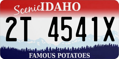 ID license plate 2T4541X