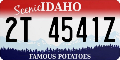 ID license plate 2T4541Z