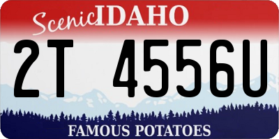 ID license plate 2T4556U