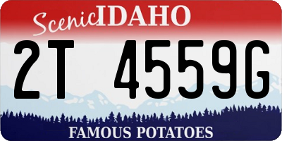 ID license plate 2T4559G