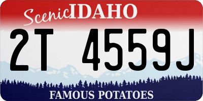 ID license plate 2T4559J