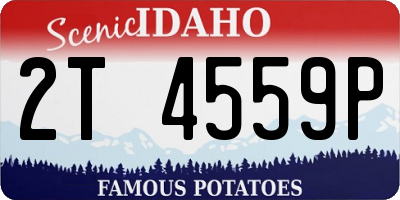 ID license plate 2T4559P
