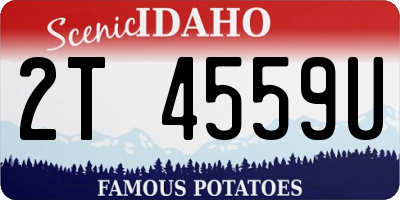 ID license plate 2T4559U