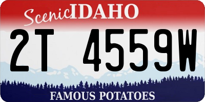 ID license plate 2T4559W